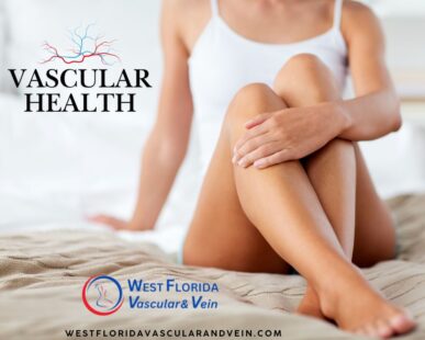 Vascular health tampa florida