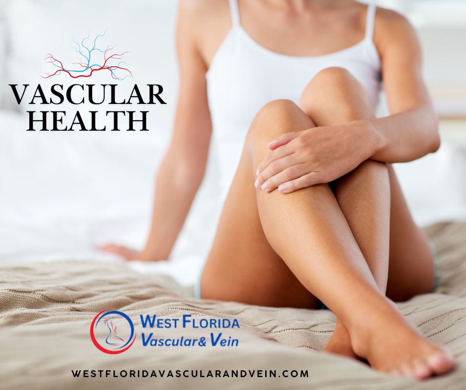 Vascular health tampa florida
