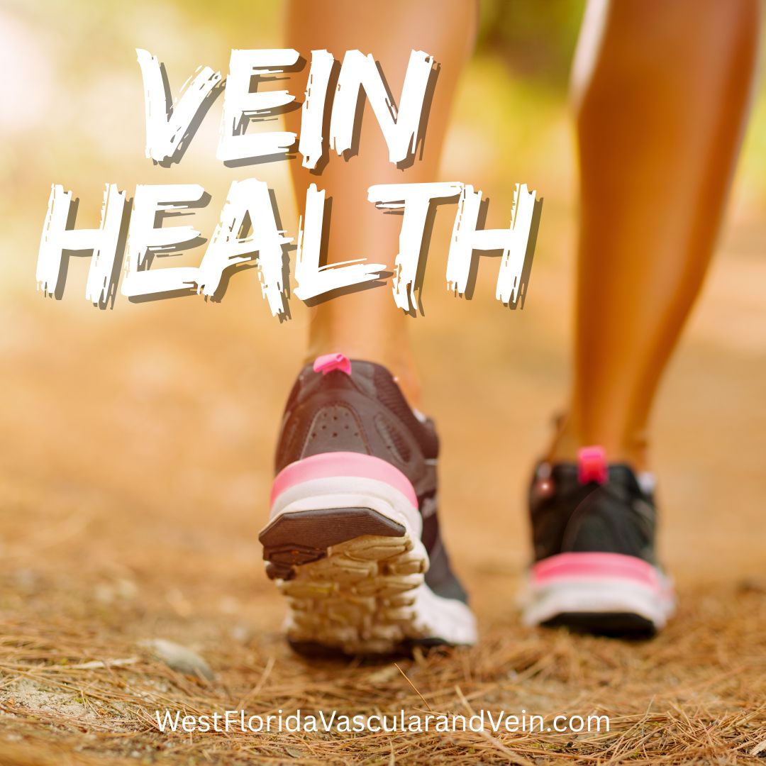 How Lifestyle Changes Can Improve Your Vein Health in Tampa and Safety Harbor florida