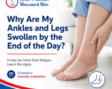 Vascular specialist tampa safety harbor florida