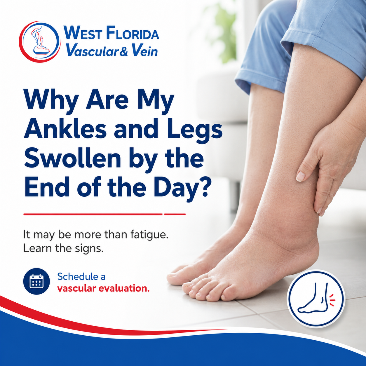 Vascular specialist tampa safety harbor florida