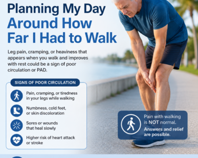 west florida vascular and vein safety harbor and tampa