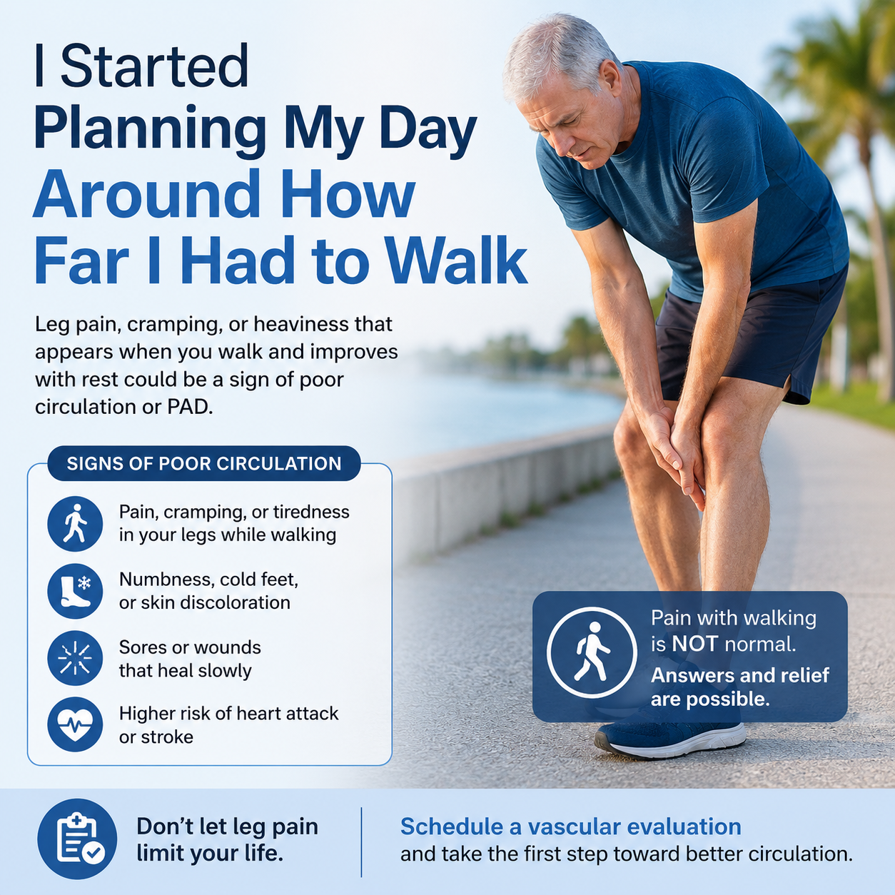 west florida vascular and vein safety harbor and tampa